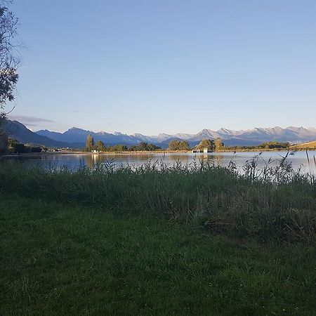 Camping La Motte Flottante La Freissinouse Екстер'єр фото