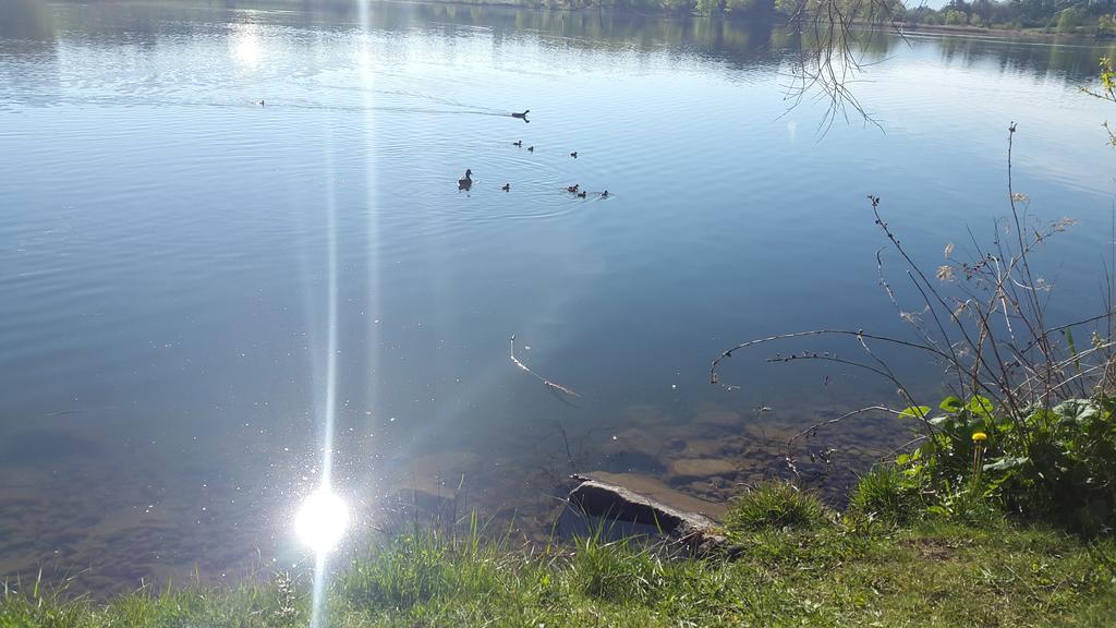 Camping La Motte Flottante La Freissinouse Екстер'єр фото
