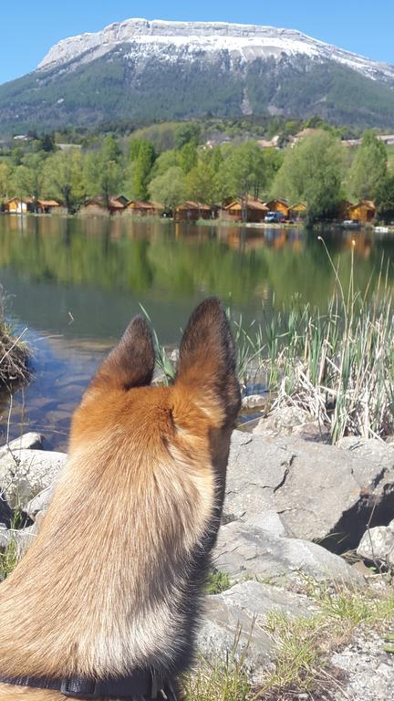 Camping La Motte Flottante La Freissinouse Екстер'єр фото